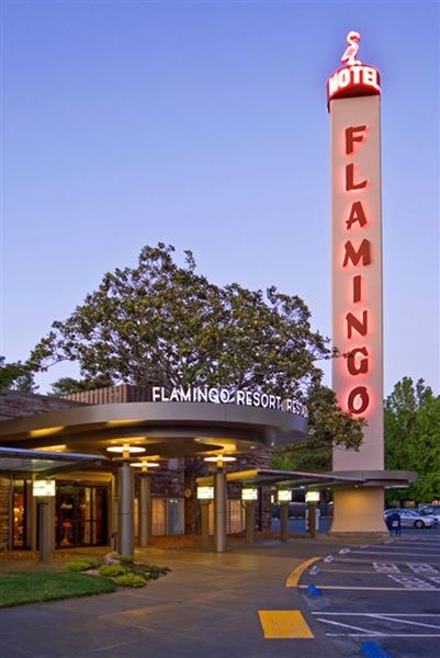 Flamingo Resort (7/25/2018)