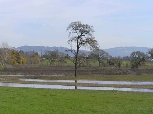 Laguna de Santa Rosa Trail (7/25/2018)