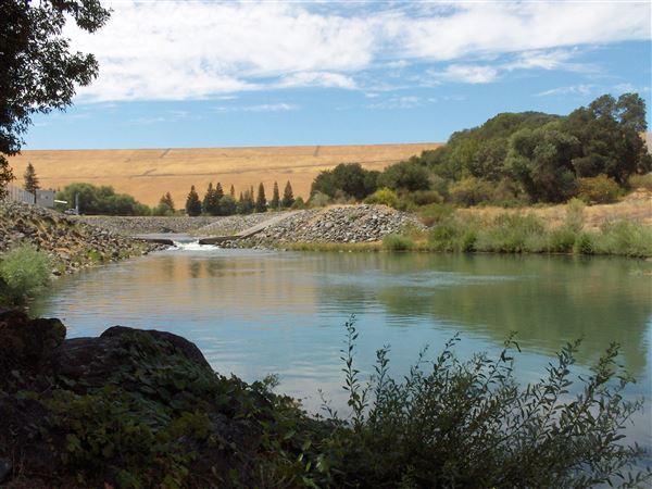 Lake Sonoma (7/25/2018)