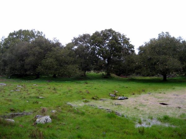 Tom Scott Ranch (7/25/2018)
