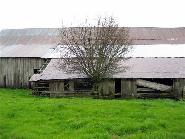 Tom Scott Ranch (7/25/2018)