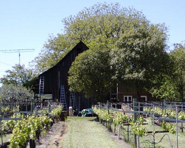 The Russian River Rose Company (7/25/2018)