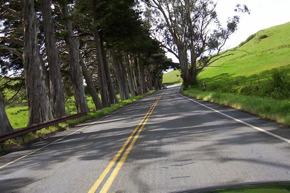 Tomales Rd (7/25/2018)