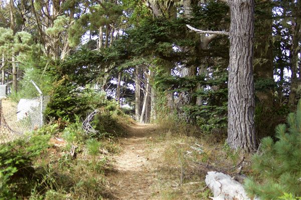 Little River Blowhole Trail - Little River - Blowhole Trail (8/6/2018 - Credits: Kellen Lim)