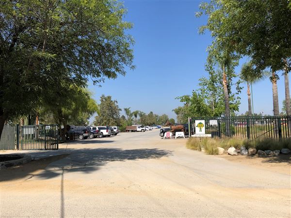 Hansen Dam Horse Park (8/9/2018 - Credits: Vernell Carranza)