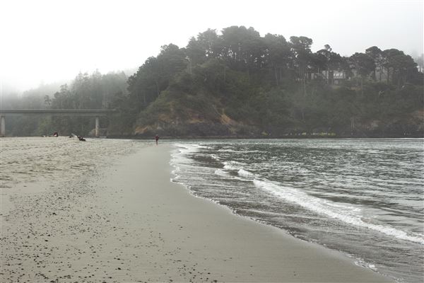 Big River Beach @ Menodocino Headlands State Park  (SP) (7/24/2018 - Credits: Kellen Lim)