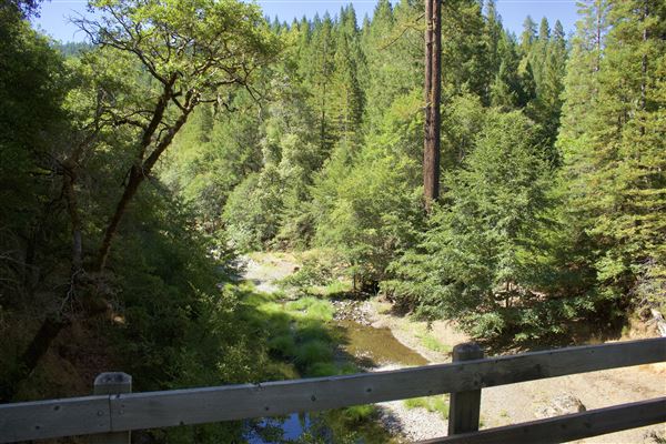 Mountain View Road - Mountain View Road - Bridge view of Rancheria Creek (8/1/2018 - Credits: Kellen Lim)