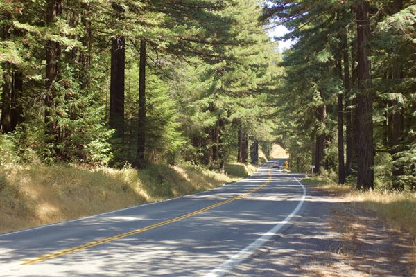 Highway 20 - Fort Bragg-Willits Rd. (9/3/2018 - Credits: Kellen Lim)