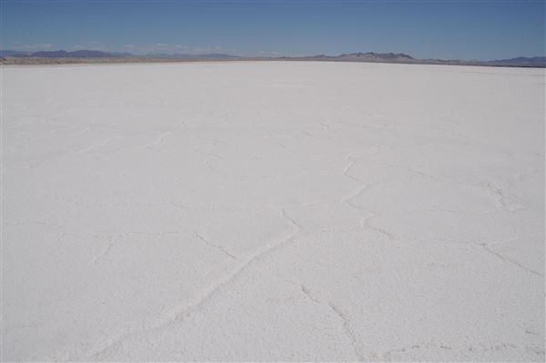 Bristol Salt Flats / Bristol Dry Lake - private area ownership (5/1/2010 - Credits: Cindy Romano)