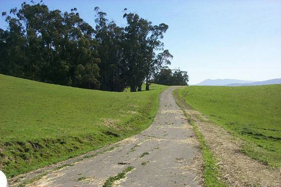 Cougar Mountain Drive (12/31/2003)