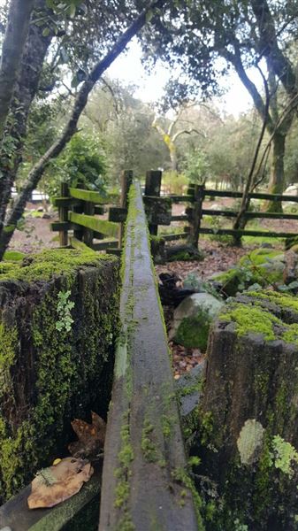 Howarth Park (4/3/2019)