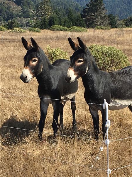 Wavelength Farm - Actual date taken unknown. (4/2/2019 - Credits: Renee Bertrand)