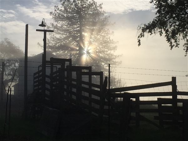 Bees Rock Ranch (5/22/2019)