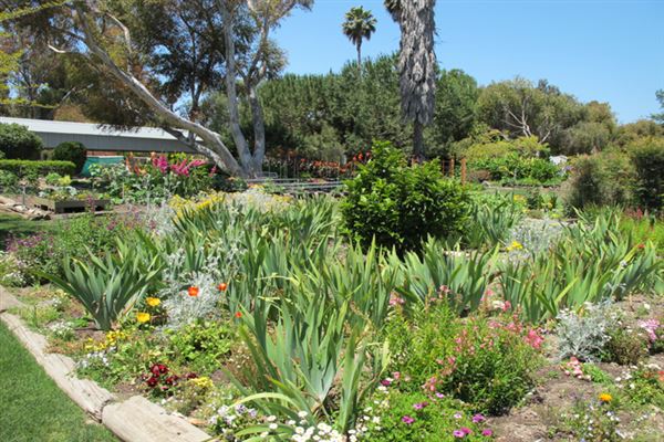 South Coast Botanic Garden (6/1/2019 - Credits: LocoScout)