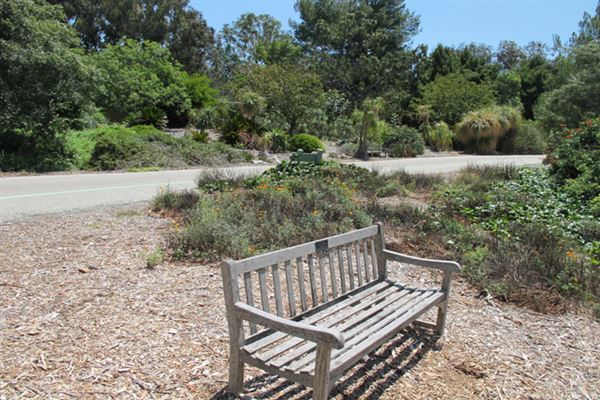 South Coast Botanic Garden (6/1/2019 - Credits: LocoScout)