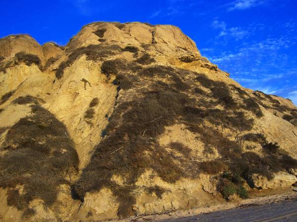 Crystal Cove State Park (SP) (12/31/2003)
