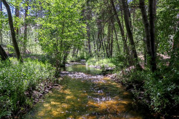 Peppermint Falls Ranch - Little Yosemite Valley - Peppermint Falls Ranch Waterfall (5/31/2020)
