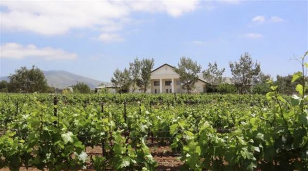 Agua Dulce Winery and Vineyards (9/23/2020 - Credits: Kevin Dole - Home3D.us - 818 568 8876)