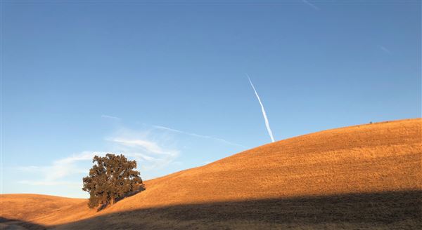 Enney Ranch @ Paso Robles (1/4/2021 - Credits: Courtney Delancey)