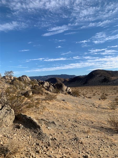 198 acre beautiful desert property (3/1/2022 - Credits: Nicole Staples)