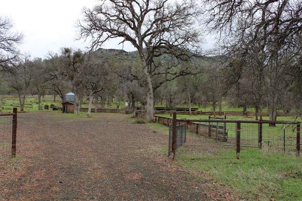 Payne's Creek (3/1/2022 - Credits: Film Tehama)
