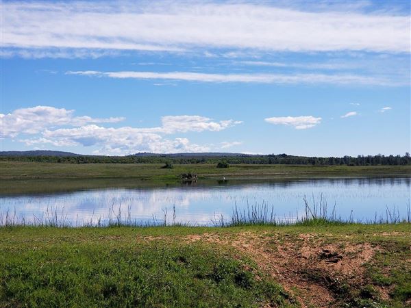 Payne's Creek Wetlands (3/1/2022 - Credits: Film Tehama)
