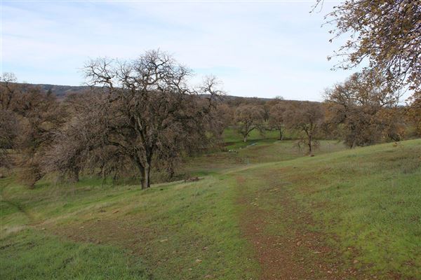 Sacramento River Bend (3/1/2022 - Credits: Film Tehama)