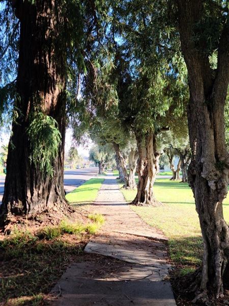 Woodson Park (3/1/2022 - Credits: Film Tehama)