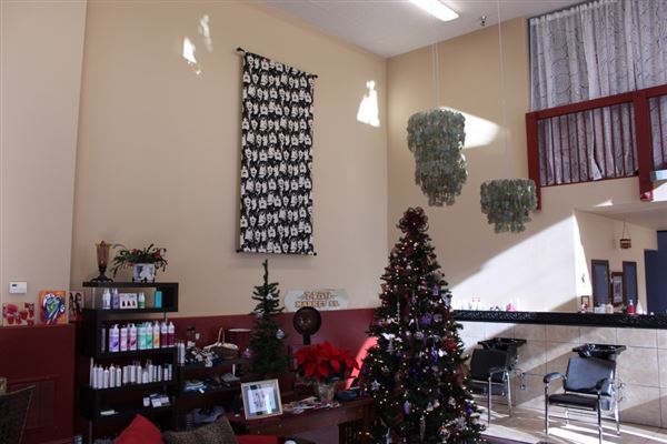 Wavelengths Salon (12/20/2019)