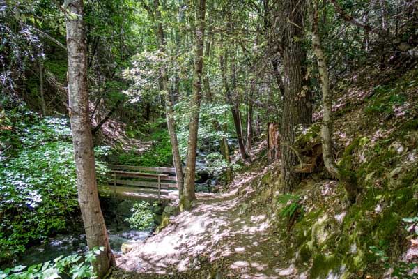Crystal Creek Falls - Whiskeytown National Recreation Area (8/9/2019)