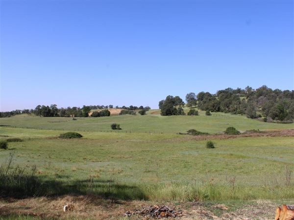 Sicard Flat (4/11/2022)