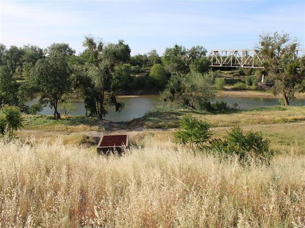 Train Bridge (4/11/2022)