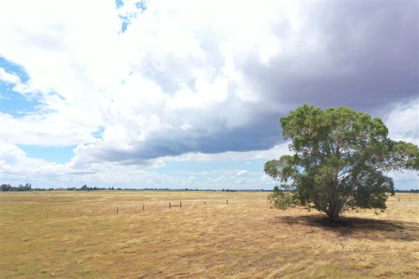 Various Rural Farms And Ranches (8/9/2022)
