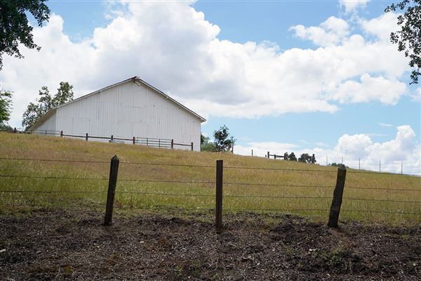 Various Rural Farms And Ranches (8/9/2022)