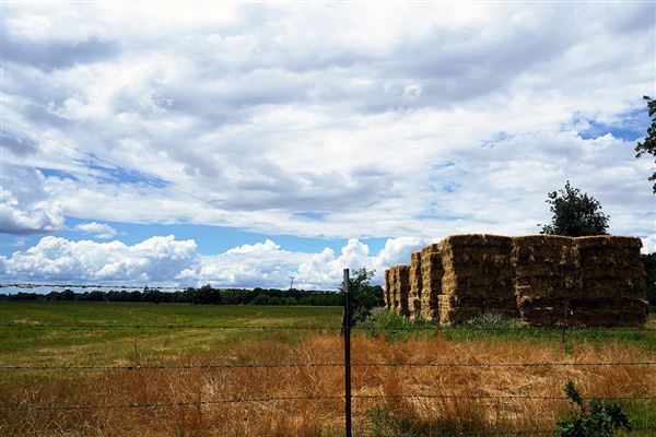 Various Rural Farms And Ranches (8/9/2022)