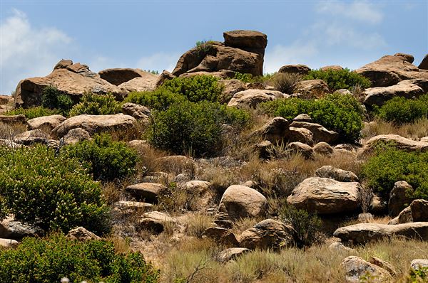 Santa Susana Pass State Historic Park (SHP) and former Spahn Movie Ranch (6/11/2010 - Credits: Brian Baer)