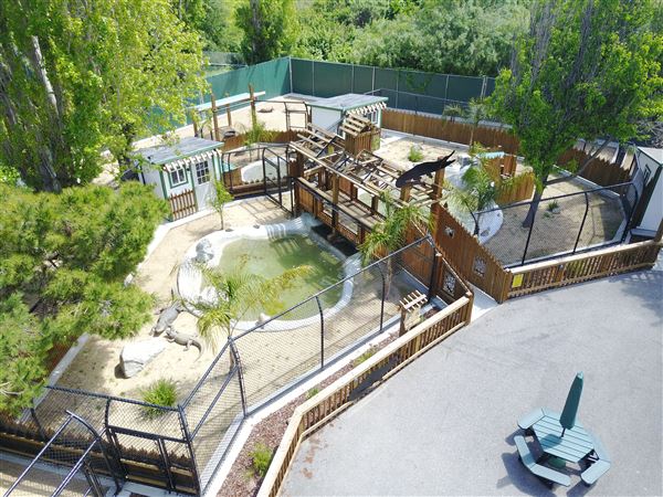 Vision Quest Ranch - Monterey Zoological Society (11/7/2022 - Credits: Charlie Sammut)