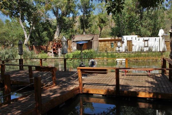 The Painted Turtle Camp (1/1/2018)