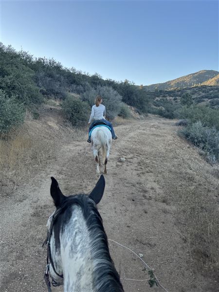 Animal Party Rescue and Sanctuary (3/17/2023)
