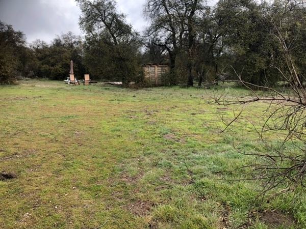 Red Thorne Ranch / The Barn Loft / Mini Petting Zoo (3/23/2023 - Credits: Amber Thorne)