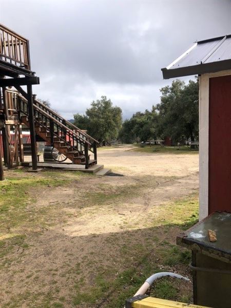 Red Thorne Ranch / The Barn Loft / Mini Petting Zoo (3/23/2023 - Credits: Amber Thorne)