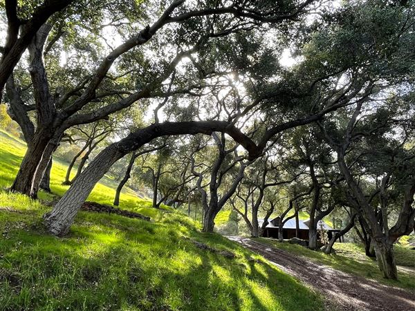 Canyon Ranch (4/3/2023 - Credits: Provided by Julie Hoffman)