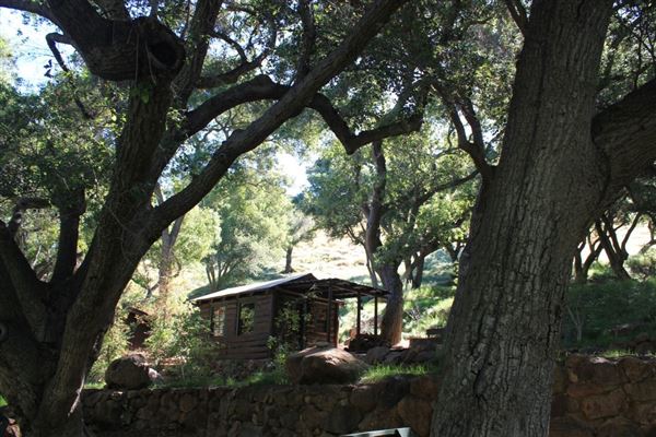 Canyon Ranch (4/3/2023 - Credits: Provided by Julie Hoffman)