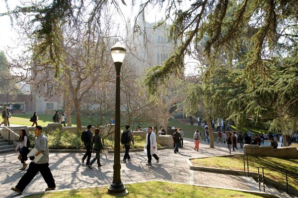 University of California, Los Angeles - UCLA (8/4/2023 - Credits: University of California, Los Angeles - UCLA)