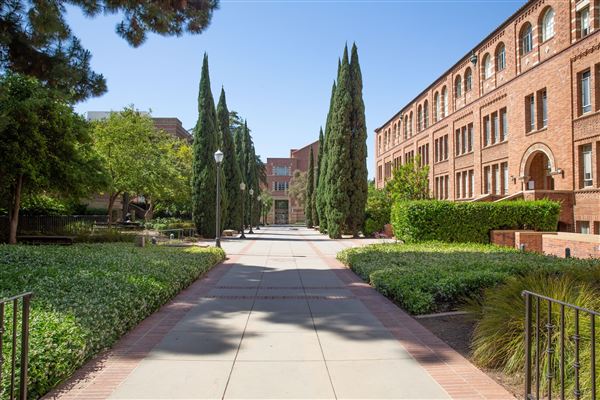 University of California, Los Angeles - UCLA (8/4/2023 - Credits: University of California, Los Angeles - UCLA)