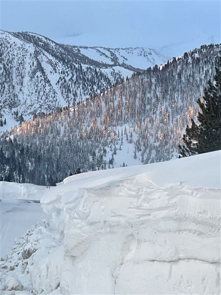Cinnamon Bear Inn - Mammoth Lakes (2/26/2023 - Credits: Cinnamon Bear Inn)