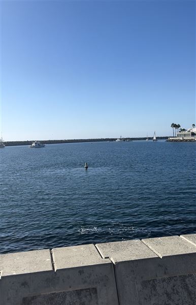 Riviera Mexican Cantina (King Harbor, Redondo Beach, CA on the water) (12/10/2023 - Credits: submitted by: Chris  Bredesen)
