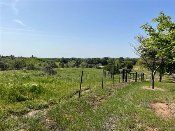 Olive Ranch (5/10/2022 - Credits: Placer County)