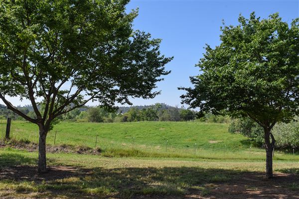 Olive Ranch (7/14/2022)