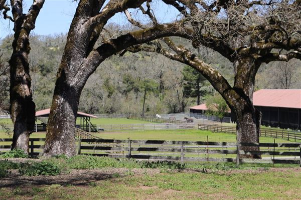 Alpine Ranch (12/19/2023 - Credits: Photo Courtesy of Alpine Ranch)